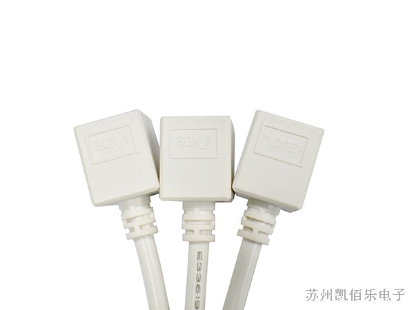 RJ45線束 RJ45線束