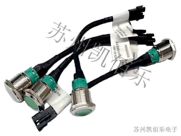 電動輪椅電機(jī)線束 電動輪椅電機(jī)線束