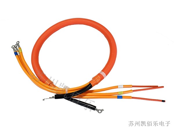 高速電動(dòng)摩托車(chē)電機(jī)線(xiàn)束 高速電動(dòng)摩托車(chē)電機(jī)線(xiàn)束